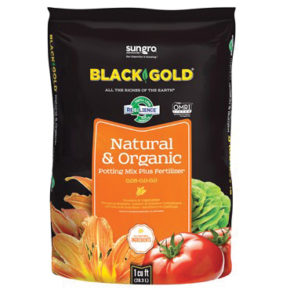 blackgold