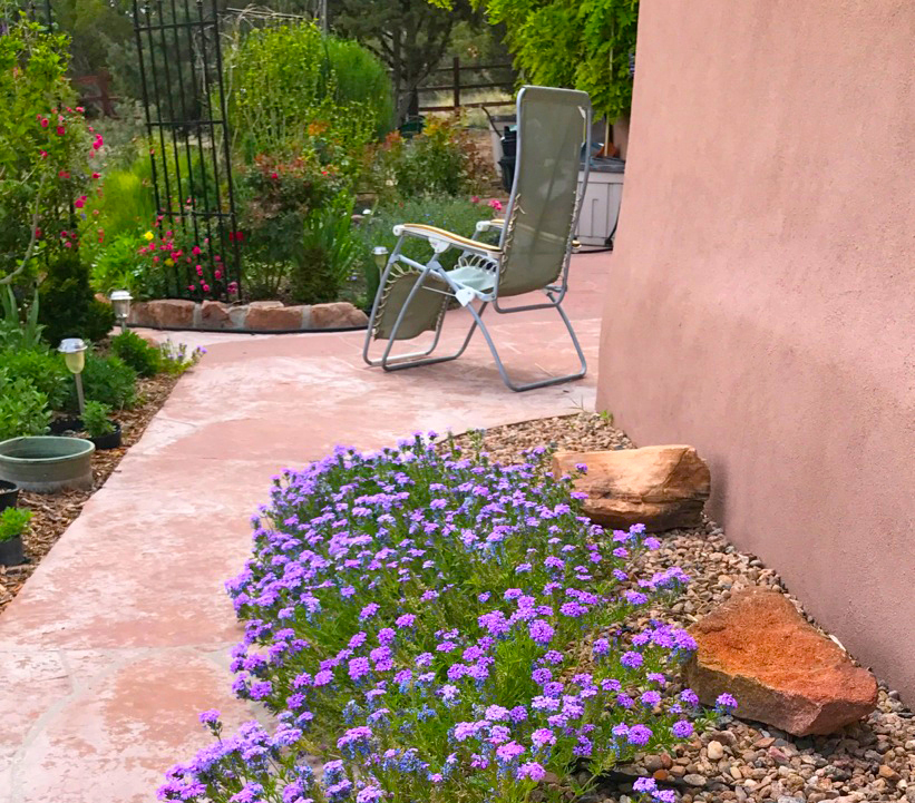 landscapeverbena2