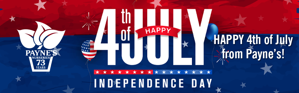 PAYNES_slider20254thofjuly