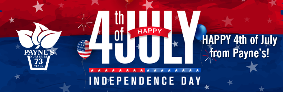 PAYNES_slider20254thofjuly