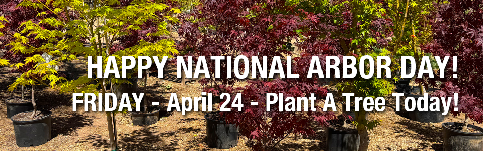 PAYNES_sliderARBORDAY2026