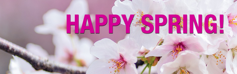 PAYNES_sliderSPRING2023