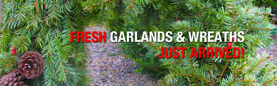 PAYNES_slidersHOLIDAY1