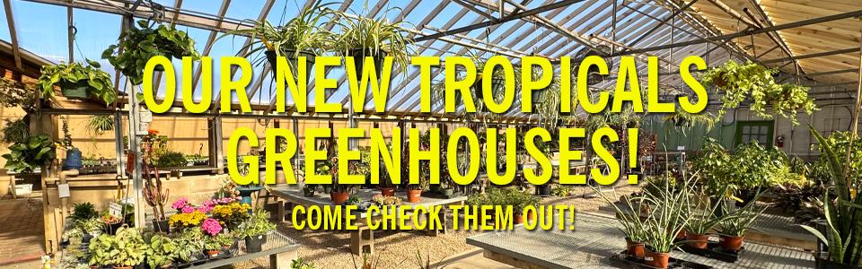PAYNES_slidersNEWtropicalgreenhouse
