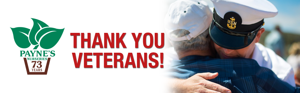 PAYNES_slidersVETERANS2025