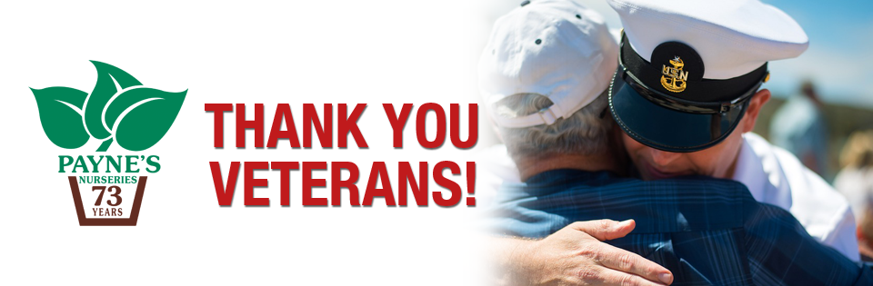 PAYNES_slidersVETERANS2025