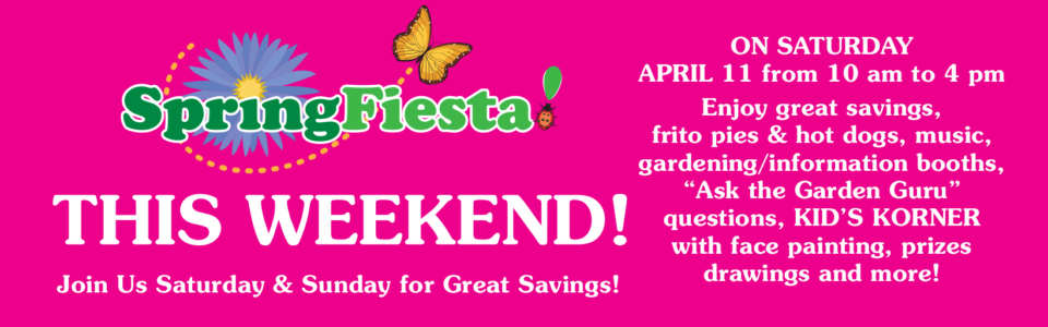 PAYNES_springfiesta2026a