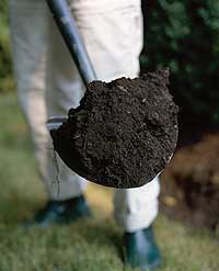 shovel-with-dirt