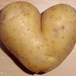 potato.heart_.WIKI_-150x150