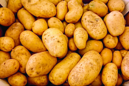 Potatoes