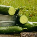 cucumbers-1588945_960_720