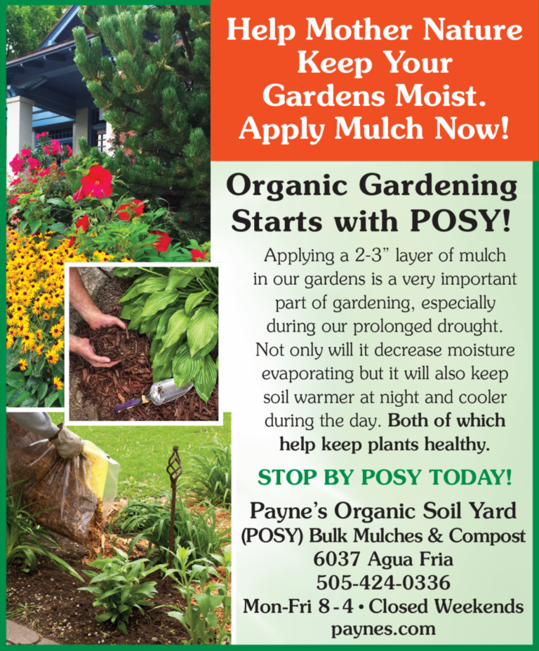 Home Payne's Nurseries